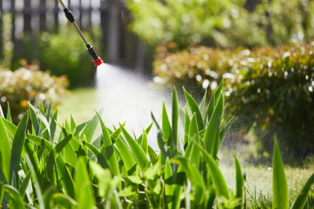 24/7 Emergency Fumigation Services experts in Heathcote, NJ