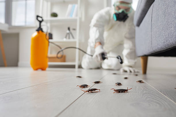 Trusted Cockroach Control service in Heathcote, NJ - Nex Pest Control