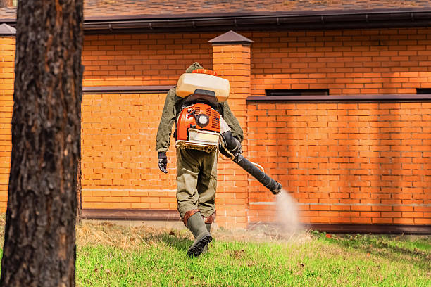 Trusted Bed Bug Control service in Heathcote, NJ - Nex Pest Control